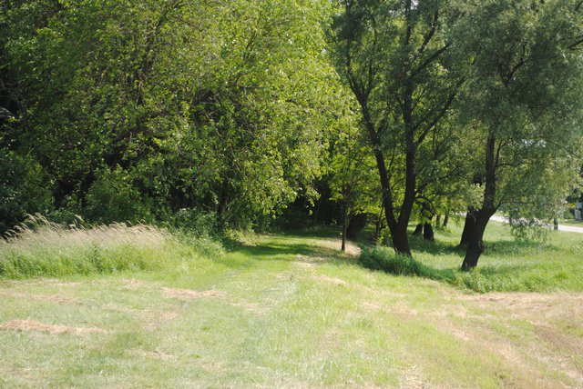 venek2